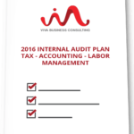 internal audit plan