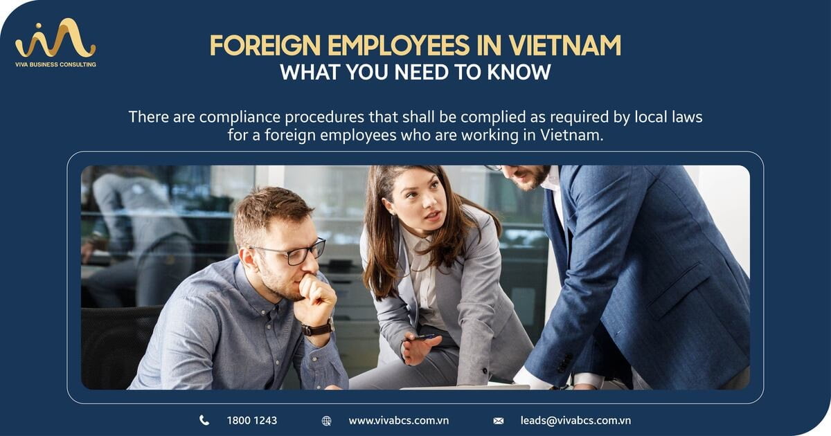 Foreign employees in Vietnam