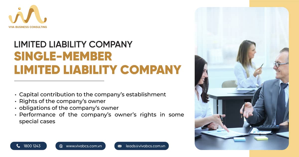 Single-member limited liability company in Vietnam