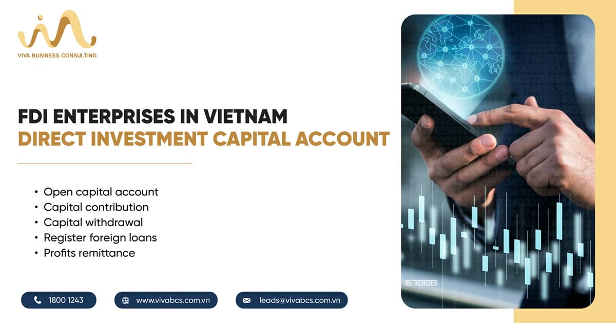 Direct investment capital account - FDI enterprise in Vietnam