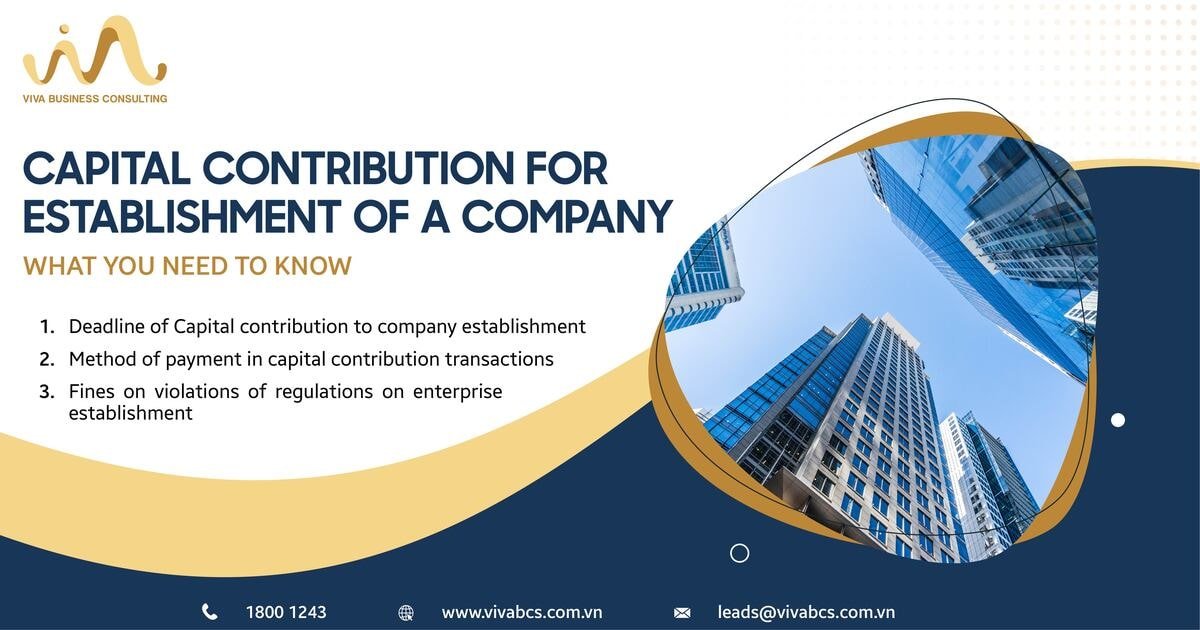 Capital contribution for establish of a company in Vietnam
