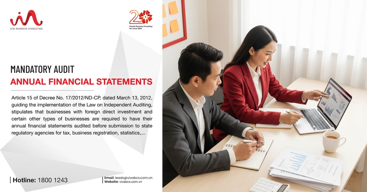 Mandatory Audit financial statements