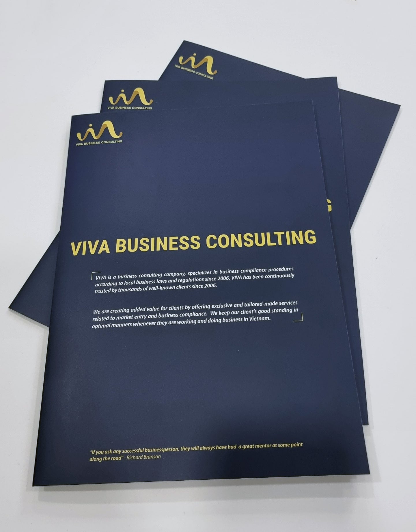 VIVA BCS Company Profile