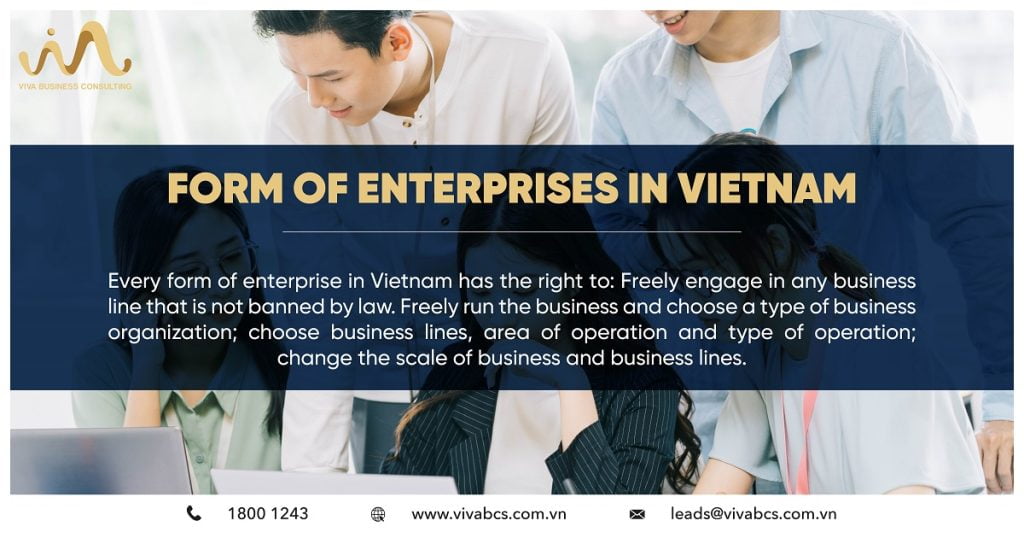 Form of enterprises in Vietnam