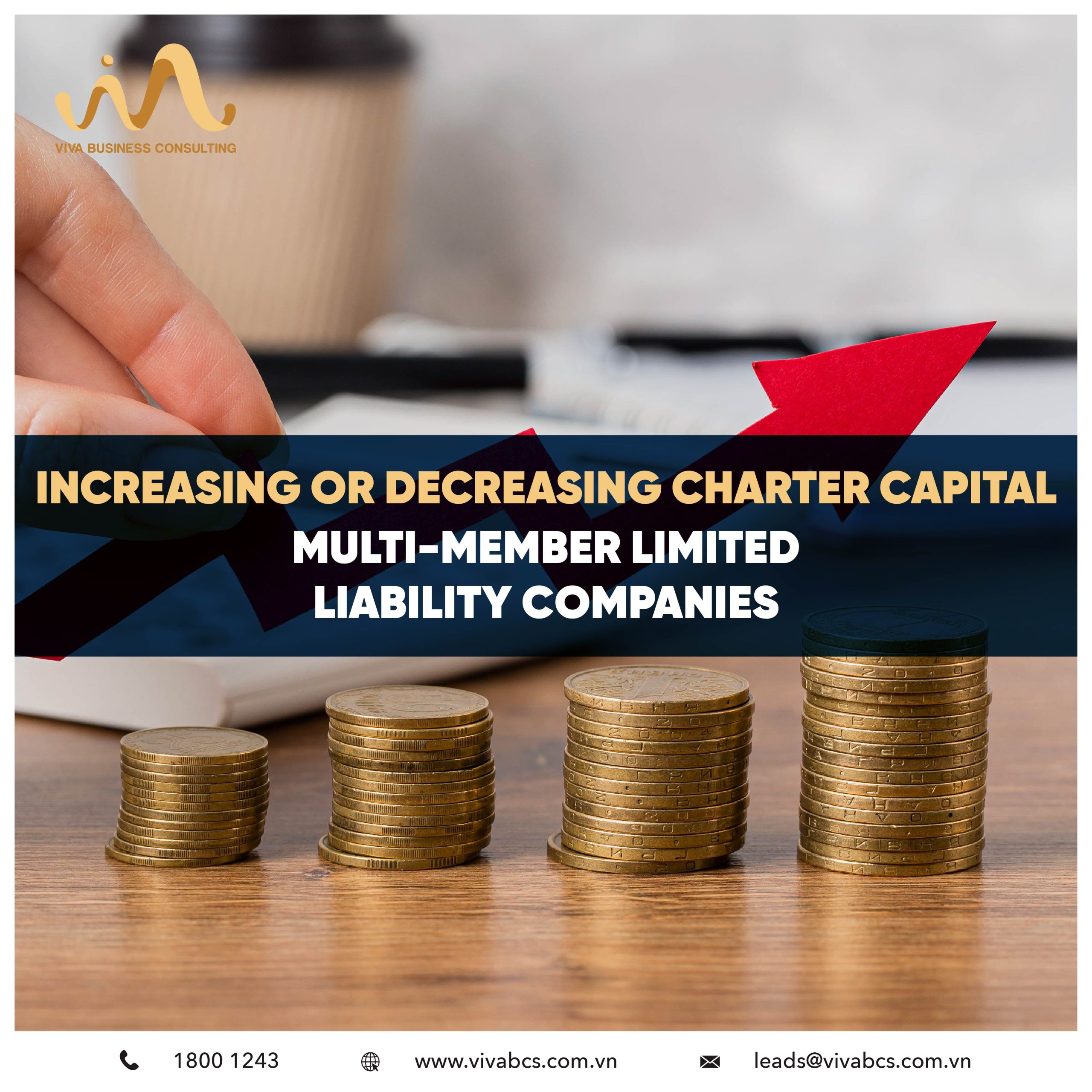 Multi-member limited liability companies: increasing or decreasing charter capital