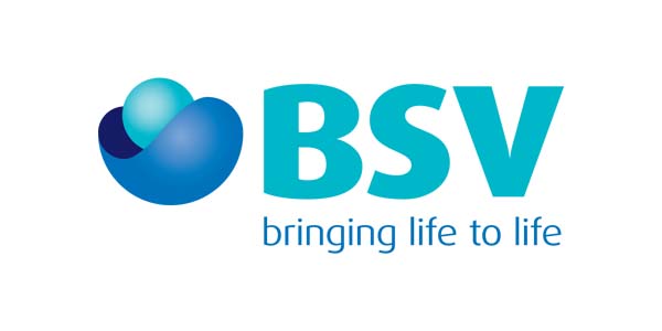 LÝ THƯƠNG HẠNH 8 - Images of VIVA Business Consulting BSV logo client
