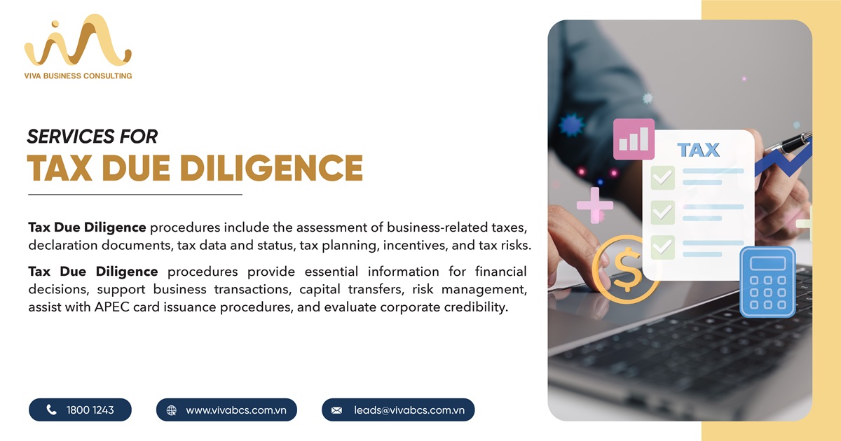 Services for Tax Due Diligence