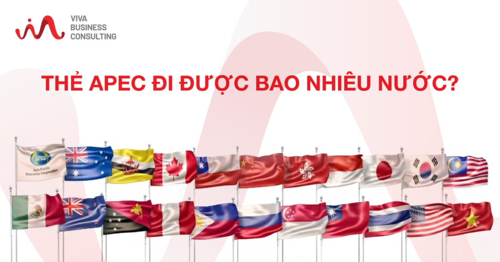 (Dịch vụ trọn gói theo thủ tục ưu tiên cho khách hàng ưu tiên) 1 - Images of VIVA Business Consulting image 1 - Images of VIVA Business Consulting