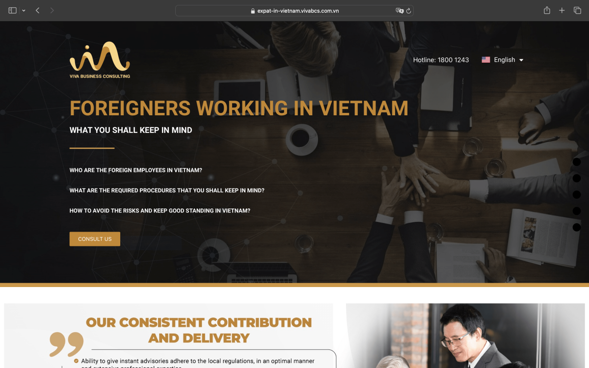 Foreigners working in Vietnam